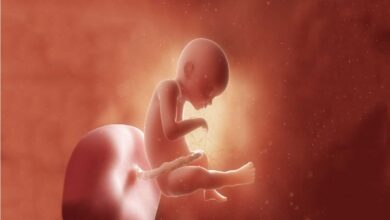بررسی و آشنایی با هفته نوزدهم در بارداری + وضعیت جنین، علائم مادر و تغذیه در هفته نوزدهم بارداری چگونه است؟
